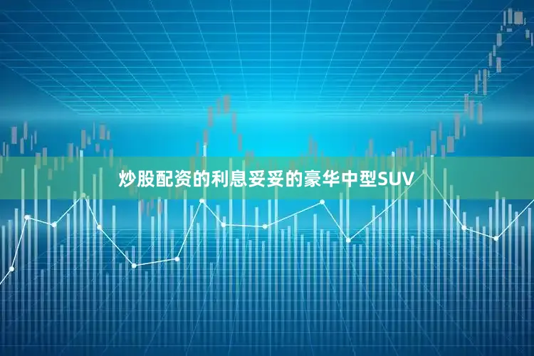炒股配资的利息妥妥的豪华中型SUV