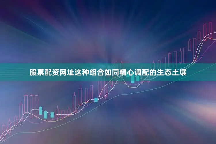 股票配资网址这种组合如同精心调配的生态土壤