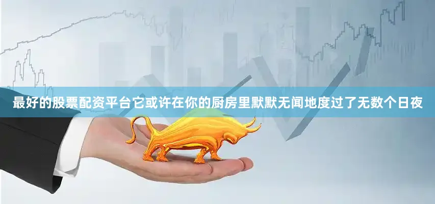 最好的股票配资平台它或许在你的厨房里默默无闻地度过了无数个日夜