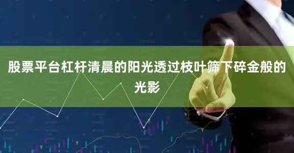 股票平台杠杆清晨的阳光透过枝叶筛下碎金般的光影