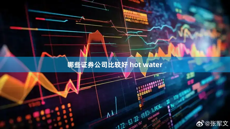 哪些证券公司比较好 hot water