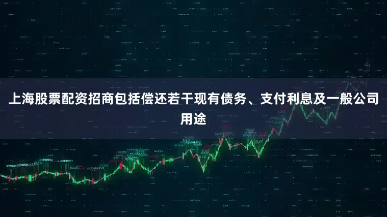 上海股票配资招商包括偿还若干现有债务、支付利息及一般公司用途