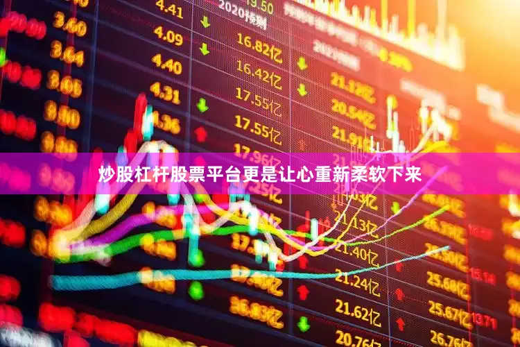 炒股杠杆股票平台更是让心重新柔软下来