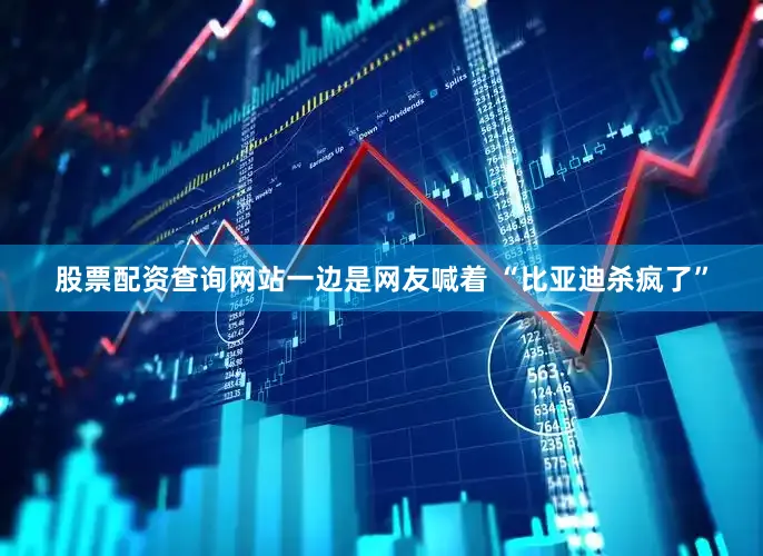 股票配资查询网站一边是网友喊着 “比亚迪杀疯了”
