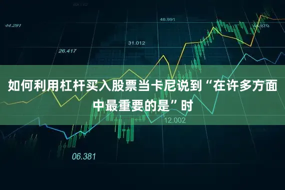 如何利用杠杆买入股票当卡尼说到“在许多方面中最重要的是”时