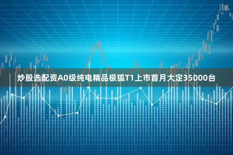 炒股选配资A0级纯电精品极狐T1上市首月大定35000台